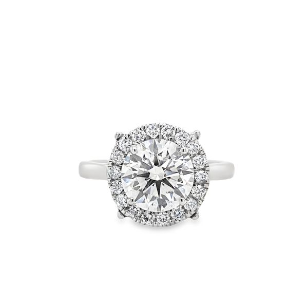 lab grown round cut solitaire ring with halo setting in platinum